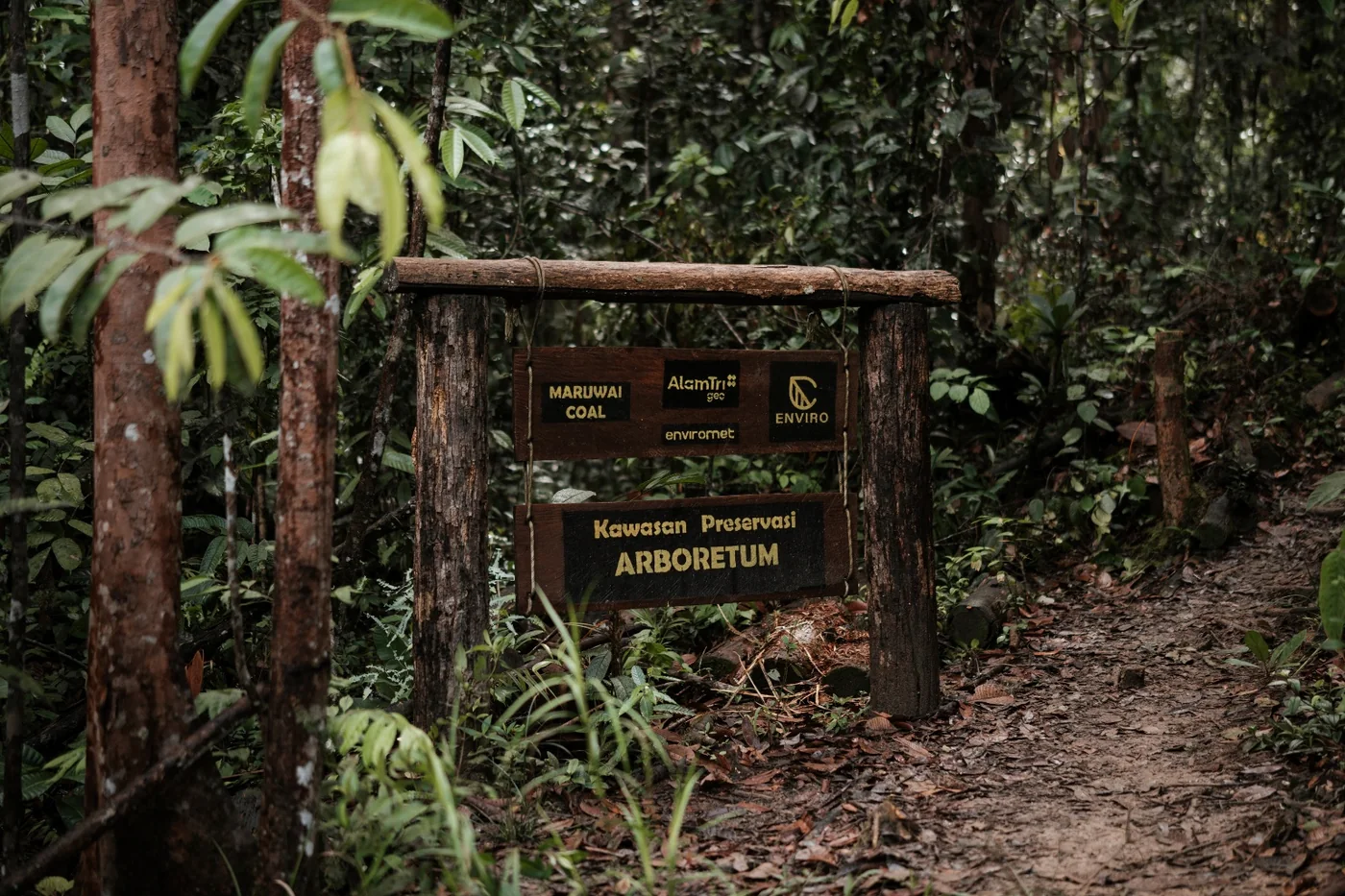 Kawasan Arboretum PT Maruwai Coal